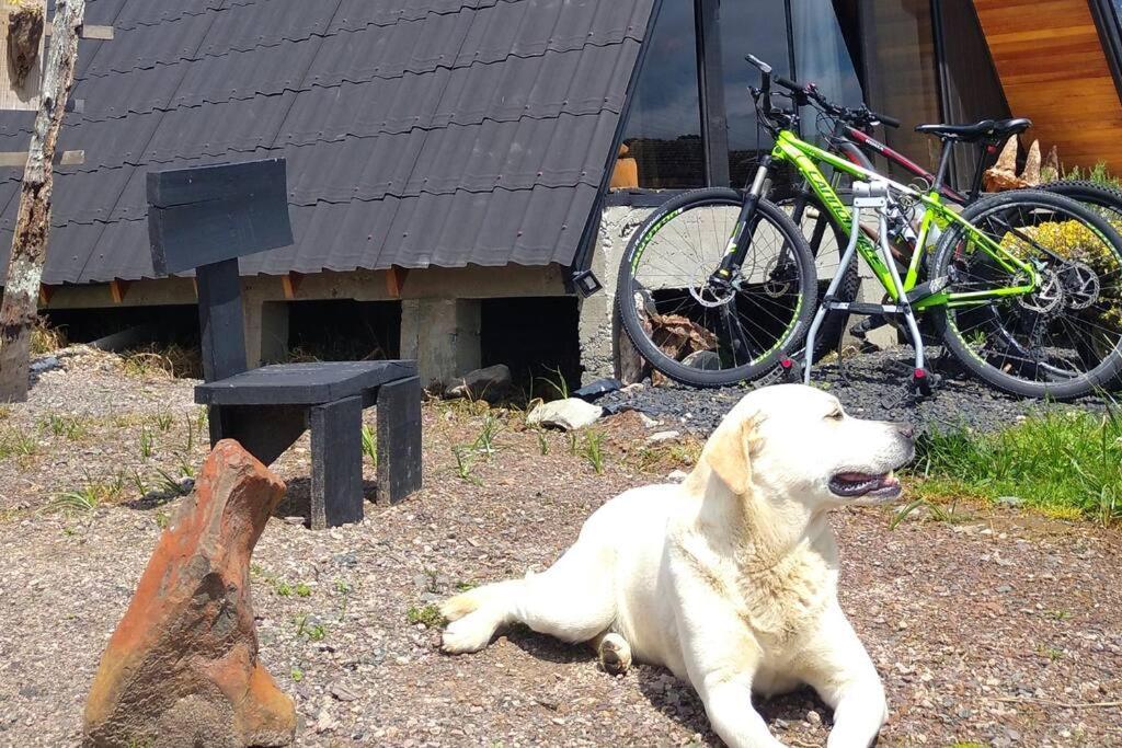 Pe Na Picada, Chale Em Urubici. Estilo E Conforto Em Uma Das Cidades Mais Frias Do Brasil! Экстерьер фото